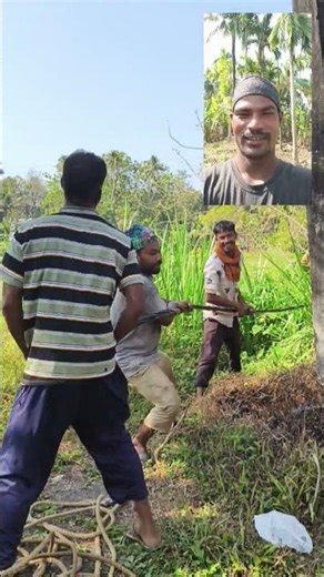 electricity ABC cable three phase line#electricalengineering #electricalconnections