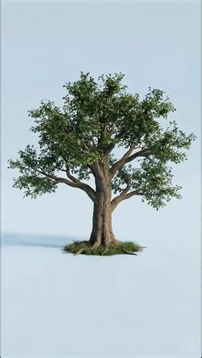 Which animal can fell a tree_ 😯_shorts | animals