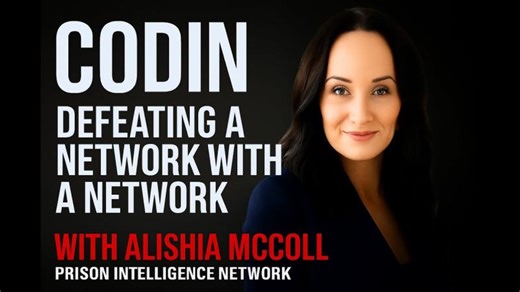 DEFEATING A NETWORK WITH A NETWORK - CODIN | Pete B.