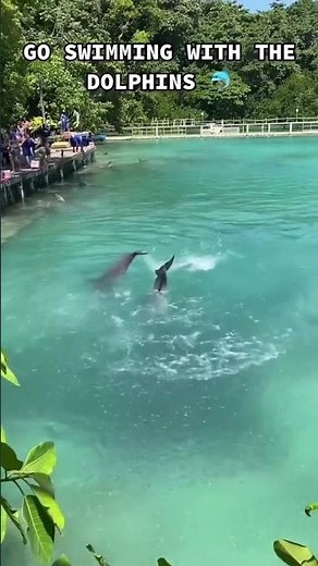 FUN THINGS TO DO In JAMAICA 🇯🇲