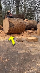 Man Loves to Create pet Statuses😍#shortsreels | Factomato SkyWin0