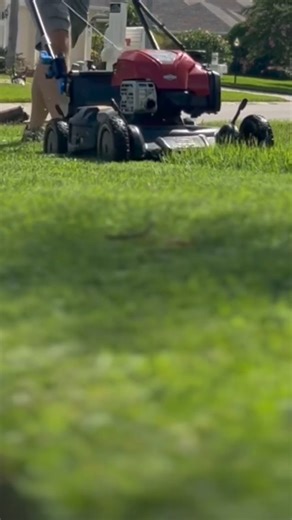 29K views · 103 reactions | When is the best time to seed the lawn? | The Lawn Care Nut - Allyn Hane | Facebook