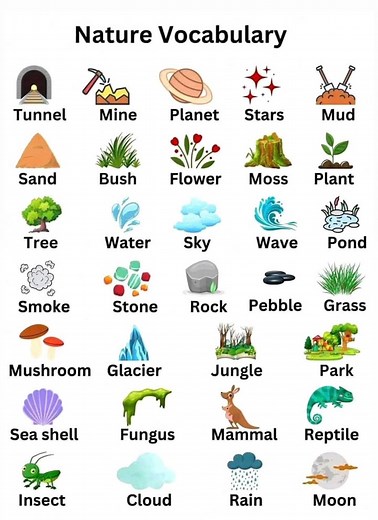 292K views · 4.2K reactions | Nature Vocabulary words in English | Sophai Creator Share | Facebook