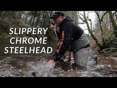 Steelhead: Most Difficult Fish to Catch (Low water Ninjas)