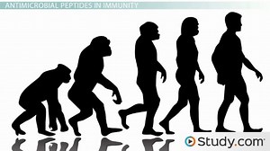 Antimicrobial Peptides: Definition and Use Against Microbes