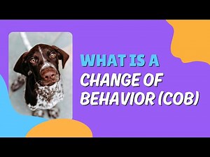 What is a Change of Behavior (COB)?