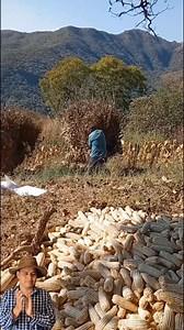 Puro chingon aguanta este jale | Lo mejor de mi tierra