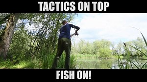 56 reactions · 19 shares | TACTICS ON TOP Using Kodex munchies as a hook bait, and the soft action of the SX-i rod, you can have a very successful surface fishing session. #beintelligent #kodexcarp #carpfishing #surfacefishing #sxirod #munchies | KODEX Intelligent Tackle | Facebook