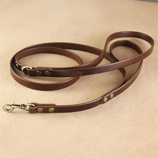 Double Loop Dog Leash With Traffic Handle - Etsy
