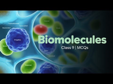 Biomolecules | Chapter 6 | Class 9 Biology | Exercise MCQ's