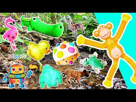 Kids Learn | Animal Names & Fun Facts at the Stream: Monkey Flamingo Crocodile Giraffe