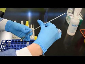 Lab 2 - Aseptic Transfer Technique