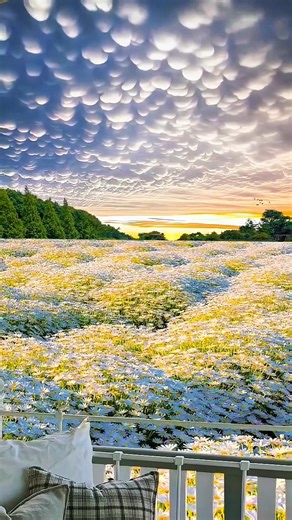 Relaxing Nature Vibes 🌿 | Peaceful Moments