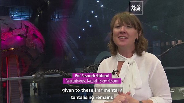 Meet Enigmacursor: New dinosaur species unveiled at London's Natural History Museum