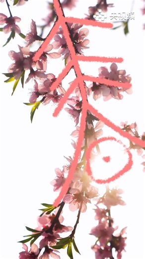 The Chinese character of "spring" -- 春 lies everywhere as long as you have eyes to discover the beauty of the season. #China #chinalife | Embassy of The People's Republic of China in the United States
