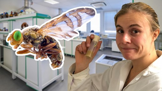 alpha Uni: Biologie studieren · Erforsche das Leben!