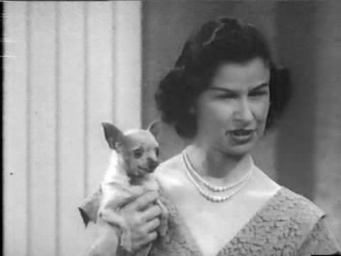 You Bet Your Life #60-13 Mr. Dempsey, the Amazing Talking Chihuahua ('Paper', Dec 15, 1960)