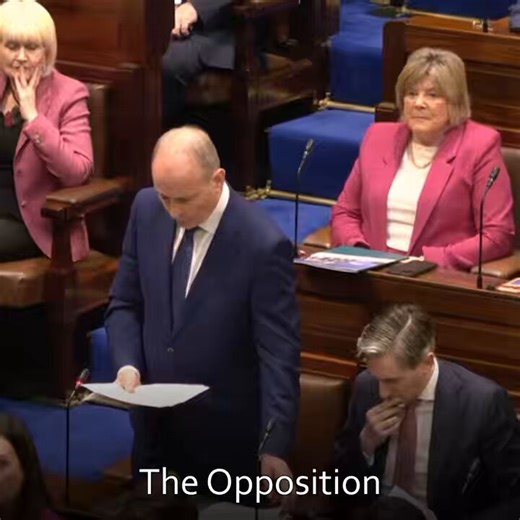 €1.2 billion spent housing 33,000 asylum scammers in 4-star hotels last year, almost €3.3 million per day. But there's only €750 million for 3.5 million Irish people.