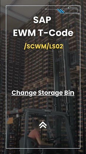 SAP EWM /SCWM/LS02 Video Overview
