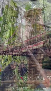 Holiday Train Show at New York Botanical Garden | New York City Photos