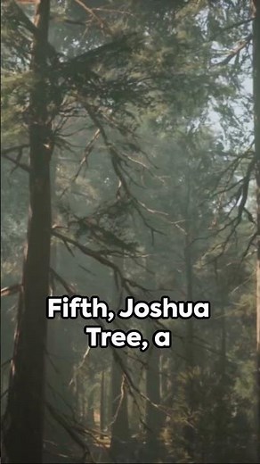 Top 10 US National Parks With Mysterious Disappearances