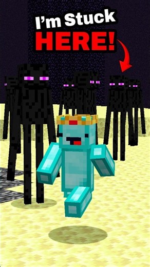 Starting the Game in End Dimension?! ⛏️💎