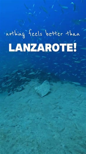 Nothing feels better than Lanzarote… 💙 It starts with an epic sunrise, and only gets better from there. ✨ Cuttlefish drifting across the reef 🦈 A majestic angel shark cruising by 🌊 Gliding stingrays and butterfly rays It’s not just a dive — it’s a feeling. 👉 Follow us for more moments like this from under the surface in Lanzarote! 📍 Filmed at Playa Chica, Puerto del Carmen Nada se siente mejor que Lanzarote… 💙 Empieza con un amanecer épico, y solo mejora después. ✨ Sepias deslizándose por 