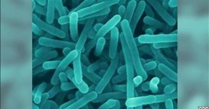 Food safety lab tests for bacteria