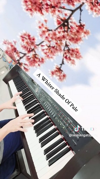 A Whiter Shade Of Pale - Procol Harum - Piano Cover #fyp #piano #awhitershadeofpale #procolharum #pianolovers #musician #foryou #fypシ #f