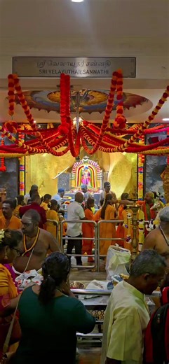 #rivenarri #batucavemurugan #vetrivelmuruganukkuarogara #thaipusam2026 #batumalayan