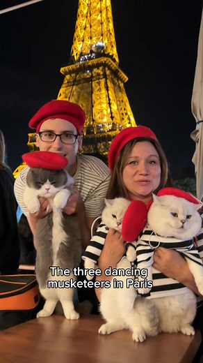 72K views · 3.9K reactions | The best dancers in Paris! ❤️ #cat #cutecat #catsoffacebook | LorettaBritish Cat | Facebook