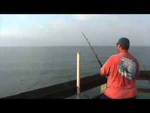 The Week At Surf City Pier