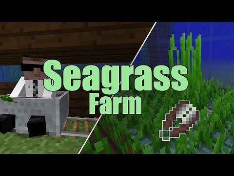 Minecraft Seagrass Farm Tutorial | Easy to Build!