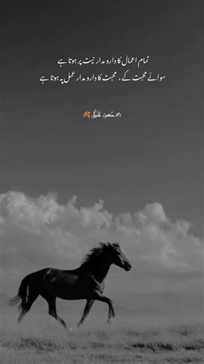 نیت اعمال کی روح ہے، اور عمل محبت کا ثبوت ہے اعمال کا دارو مدار نیت پر ہے، جبکہ محبت کا دارومدار حقیقی اظهار ، عملی اقدامات سے ہوتا ہے ۔ نیت دل کی پوشیدہ کیفیت ہے جو عمل قبولیت پاتی ہے، لیکن محبت صرف نیت سے نہیں بلکہ اس کا ثبوت قربانی، وفاداری اور عملی خدمت کے ذریعے دیا جاتا ہے۔ محبت کا معیار (عملی ثبوت محبت ایک جذبہ ہے، لیکن اس کی تصديق عمل سے ہوتی ہے۔ محض دعویٰ محبت کافی نہیں بلکہ عملی قربانی، وقت، جذبات یا ضرورت محبت کا دارومدار ہے. #fypviralシ #aesthatic #donotunderreviewmyvideos #viwesproble