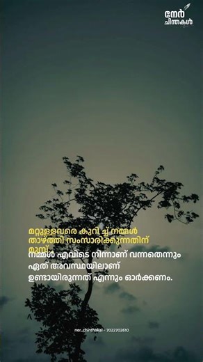 🤌🫵#malayalam #qoutes #ner_chinthagal #reels #quotesdaily