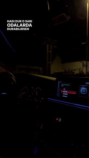 Sezen Aksu Şarkıları: Duygusal Sözler ve Melodiler