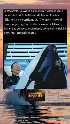 SeaWorld’de Trajik Gün: Dawn Brancheau ve Katil Balina Tilikum