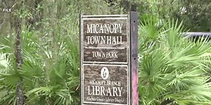 Community development projects to help Micanopy and Fort White