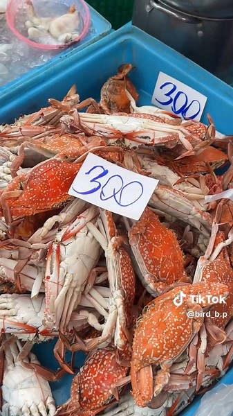 เที่ยวตลาดทะเลสดที่บ้านแหลมเพชรบุรี