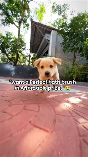 Affordable Pet Bathing Brush for Dogs and Cats