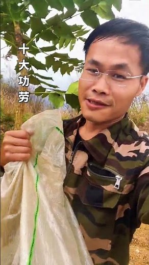 十大功勞#趕山了日常