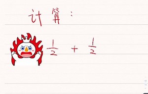 【正经讲解】计算：1/2 1/2
