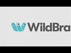 WildBrain (2020)