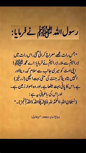 #islamicvedio #islamicstatus #islamicmotivation #islamiceducation #islamiclectures #viral