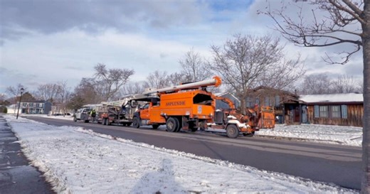 Dead tree removal brings relief for West Seneca neighbors after years of power outages