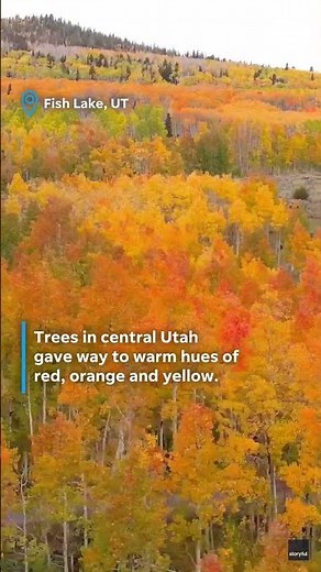 Vibrant fall foliage brings brilliant color to scenic landscapes #Shorts