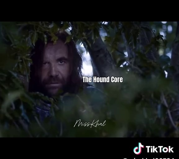 He’s such a mfing mood and I love it 😭💀😂 #gameofthrones #got #thehound #gotedit #GOT #fyp #edit #clips #foryoupage #trend #core #explorepage