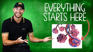 This is without a doubt the most important lesson of EMT school. If we don'[t understand how the body receives and delivers oxygen to the tissues and cells under normal circumstances then we can not even begin to understand the medical and traumatic emergencies. Everything starts here, once you master this lesson everything else you learn starts to fall into place! Be great, Evan, The Paramedic Coach #emt #paramedic #NREMT | The Paramedic Coach