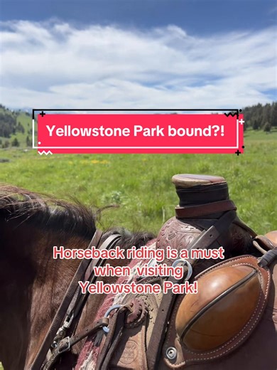 Horseback Riding is a must when visiting Yellowstone Park! A bucket list experience! We offer private rides for either 4 or 6 hours. Book online today at horsetrackoutfitters.com #yellowstonenationalpark #yellowstone #horsebackriding #montana #ynp