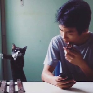 3M views · 10K reactions | Every time...  (Play with sound) | LADbible | Facebook